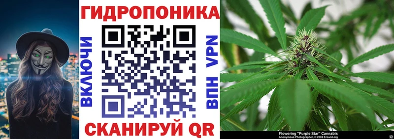 Купить наркотики цена Нижний Ломов НБОМе  Метадон  Псилоцибиновые грибы  Каннабис  Меф мяу мяу  Гашиш  СОЛЬ  Cocaine 