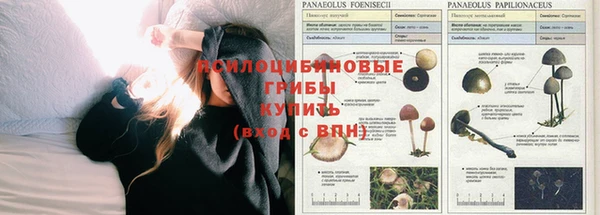 скорость Балахна