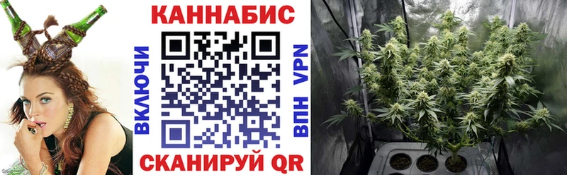 Бошки марихуана планчик  сколько стоит  mega зеркало  Нижний Ломов 